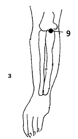 Иллюстрация к книге — Большой атлас целительных точек. 200 упражнений для здоровья и долголетия [i_049.jpg]