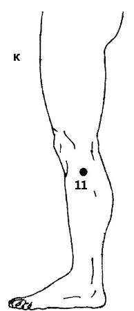 Иллюстрация к книге — Большой атлас целительных точек. 200 упражнений для здоровья и долголетия [i_051.jpg]
