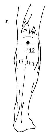 Иллюстрация к книге — Большой атлас целительных точек. 200 упражнений для здоровья и долголетия [i_052.jpg]