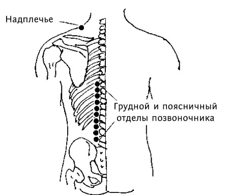 Иллюстрация к книге — Большой атлас целительных точек. 200 упражнений для здоровья и долголетия [i_062.jpg]