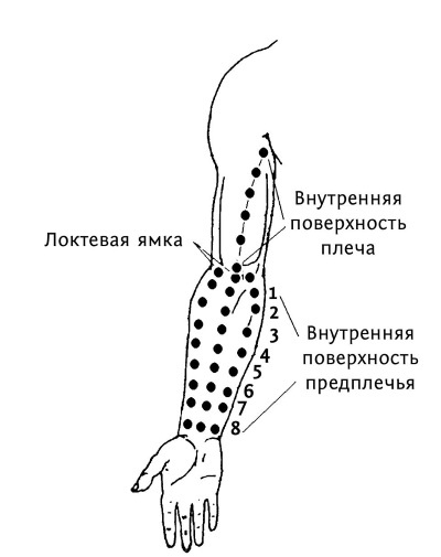 Иллюстрация к книге — Большой атлас целительных точек. 200 упражнений для здоровья и долголетия [i_067.jpg]