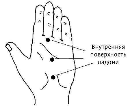 Иллюстрация к книге — Большой атлас целительных точек. 200 упражнений для здоровья и долголетия [i_068.jpg]