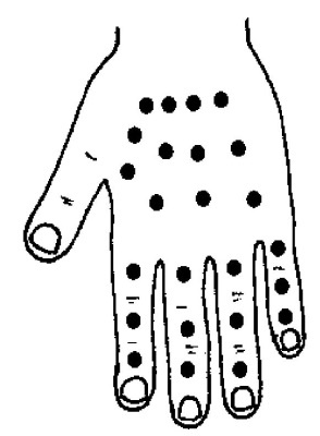 Иллюстрация к книге — Большой атлас целительных точек. 200 упражнений для здоровья и долголетия [i_070.jpg]