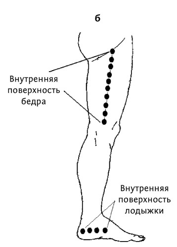 Иллюстрация к книге — Большой атлас целительных точек. 200 упражнений для здоровья и долголетия [i_072.jpg]
