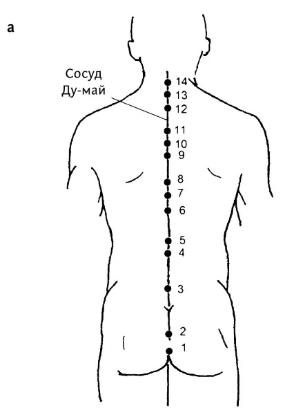 Иллюстрация к книге — Большой атлас целительных точек. 200 упражнений для здоровья и долголетия [i_079.jpg]