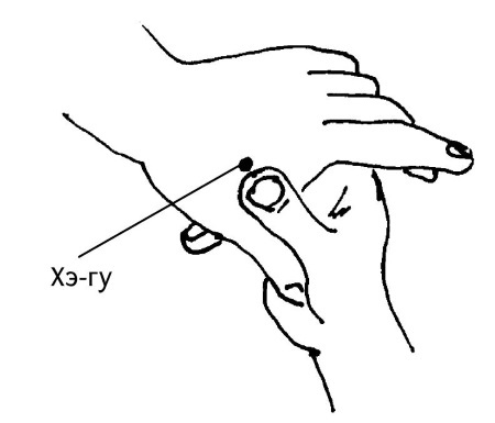 Иллюстрация к книге — Большой атлас целительных точек. 200 упражнений для здоровья и долголетия [i_088.jpg]