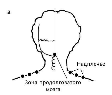 Иллюстрация к книге — Большой атлас целительных точек. 200 упражнений для здоровья и долголетия [i_101.jpg]