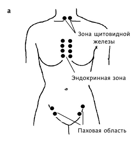 Иллюстрация к книге — Большой атлас целительных точек. 200 упражнений для здоровья и долголетия [i_113.jpg]