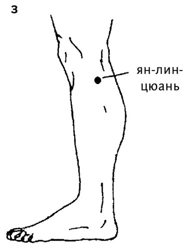 Иллюстрация к книге — Большой атлас целительных точек. 200 упражнений для здоровья и долголетия [i_125.jpg]