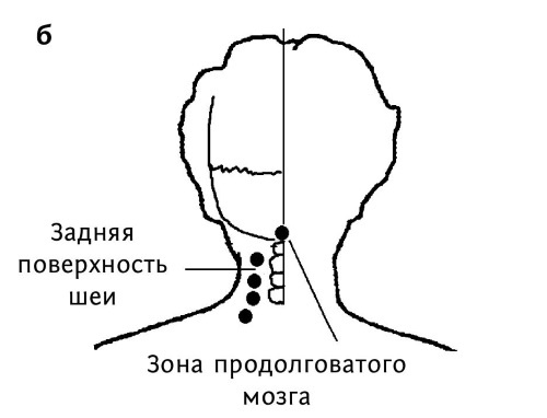 Иллюстрация к книге — Большой атлас целительных точек. 200 упражнений для здоровья и долголетия [i_140.jpg]