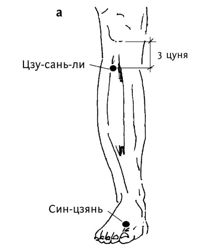 Иллюстрация к книге — Большой атлас целительных точек. 200 упражнений для здоровья и долголетия [i_144.jpg]