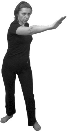 Иллюстрация к книге — 222 китайских исцеляющих упражнения для здоровья позвоночника и суставов [Autogen_eBook_id107.jpg]