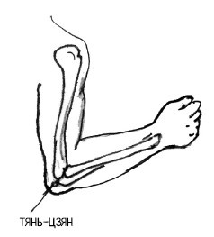 Иллюстрация к книге — 222 китайских исцеляющих упражнения для здоровья позвоночника и суставов [Autogen_eBook_id110.jpg]