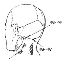 Иллюстрация к книге — 222 китайских исцеляющих упражнения для здоровья позвоночника и суставов [Autogen_eBook_id113.jpg]