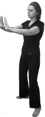 Иллюстрация к книге — 222 китайских исцеляющих упражнения для здоровья позвоночника и суставов [Autogen_eBook_id13.jpg]