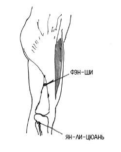 Иллюстрация к книге — 222 китайских исцеляющих упражнения для здоровья позвоночника и суставов [Autogen_eBook_id135.jpg]