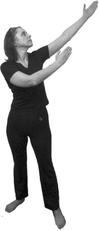 Иллюстрация к книге — 222 китайских исцеляющих упражнения для здоровья позвоночника и суставов [Autogen_eBook_id18.jpg]