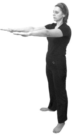 Иллюстрация к книге — 222 китайских исцеляющих упражнения для здоровья позвоночника и суставов [Autogen_eBook_id2.jpg]