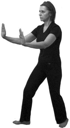 Иллюстрация к книге — 222 китайских исцеляющих упражнения для здоровья позвоночника и суставов [Autogen_eBook_id24.jpg]