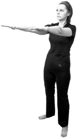 Иллюстрация к книге — 222 китайских исцеляющих упражнения для здоровья позвоночника и суставов [Autogen_eBook_id66.jpg]