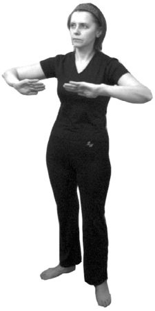 Иллюстрация к книге — 222 китайских исцеляющих упражнения для здоровья позвоночника и суставов [Autogen_eBook_id69.jpg]