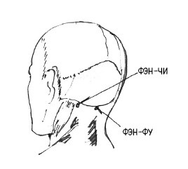 Иллюстрация к книге — 222 китайских исцеляющих упражнения для здоровья позвоночника и суставов [Autogen_eBook_id94.jpg]