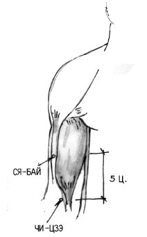 Иллюстрация к книге — 222 китайских исцеляющих упражнения для здоровья позвоночника и суставов [Autogen_eBook_id96.jpg]