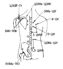 Иллюстрация к книге — 222 китайских исцеляющих упражнения для здоровья позвоночника и суставов [Autogen_eBook_id97.jpg]