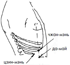 Иллюстрация к книге — 700 китайских упражнений для лечения и предотвращения 100 болезней [Autogen_eBook_id165.jpg]