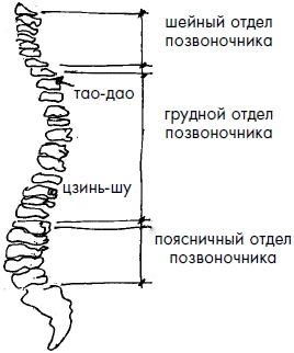 Иллюстрация к книге — 700 китайских упражнений для лечения и предотвращения 100 болезней [Autogen_eBook_id200.jpg]