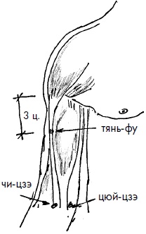 Иллюстрация к книге — 700 китайских упражнений для лечения и предотвращения 100 болезней [Autogen_eBook_id217.jpg]