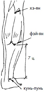 Иллюстрация к книге — 700 китайских упражнений для лечения и предотвращения 100 болезней [Autogen_eBook_id230.jpg]