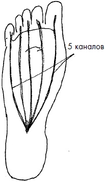 Иллюстрация к книге — 700 китайских упражнений для лечения и предотвращения 100 болезней [Autogen_eBook_id258.jpg]