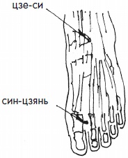 Иллюстрация к книге — 700 китайских упражнений для лечения и предотвращения 100 болезней [Autogen_eBook_id260.jpg]