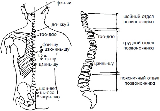 Иллюстрация к книге — 700 китайских упражнений для лечения и предотвращения 100 болезней [Autogen_eBook_id273.jpg]