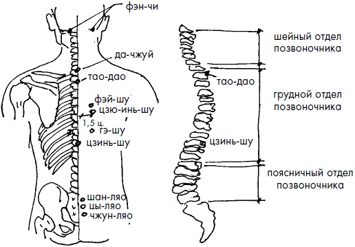 Иллюстрация к книге — 700 китайских упражнений для лечения и предотвращения 100 болезней [Autogen_eBook_id295.jpg]