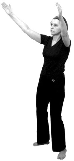 Иллюстрация к книге — 700 китайских упражнений для лечения и предотвращения 100 болезней [Autogen_eBook_id348.jpg]