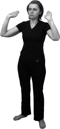 Иллюстрация к книге — 700 китайских упражнений для лечения и предотвращения 100 болезней [Autogen_eBook_id385.jpg]