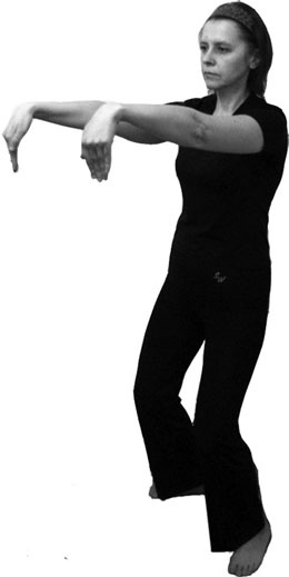 Иллюстрация к книге — 700 китайских упражнений для лечения и предотвращения 100 болезней [Autogen_eBook_id387.jpg]