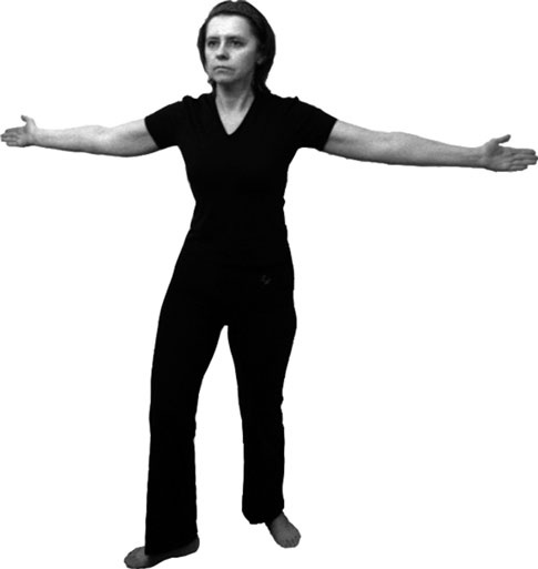 Иллюстрация к книге — 700 китайских упражнений для лечения и предотвращения 100 болезней [Autogen_eBook_id391.jpg]