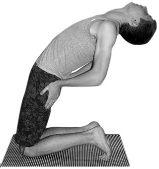 Иллюстрация к книге — 700 китайских упражнений для лечения и предотвращения 100 болезней [Autogen_eBook_id398.jpg]