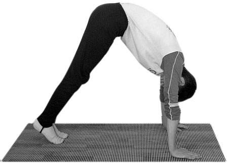 Иллюстрация к книге — 700 китайских упражнений для лечения и предотвращения 100 болезней [Autogen_eBook_id402.jpg]