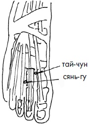 Иллюстрация к книге — 700 китайских упражнений для лечения и предотвращения 100 болезней [Autogen_eBook_id70.jpg]