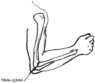 Иллюстрация к книге — 700 китайских упражнений для лечения и предотвращения 100 болезней [Autogen_eBook_id78.jpg]
