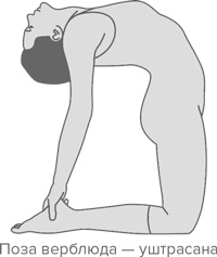 Иллюстрация к книге — Человек уставший. Как победить хроническую усталость и вернуть себе силы, энергию и радость жизни [i_022.jpg]