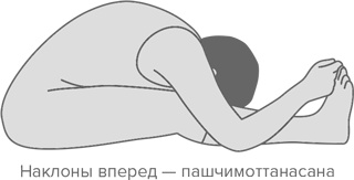 Иллюстрация к книге — Человек уставший. Как победить хроническую усталость и вернуть себе силы, энергию и радость жизни [i_023.jpg]