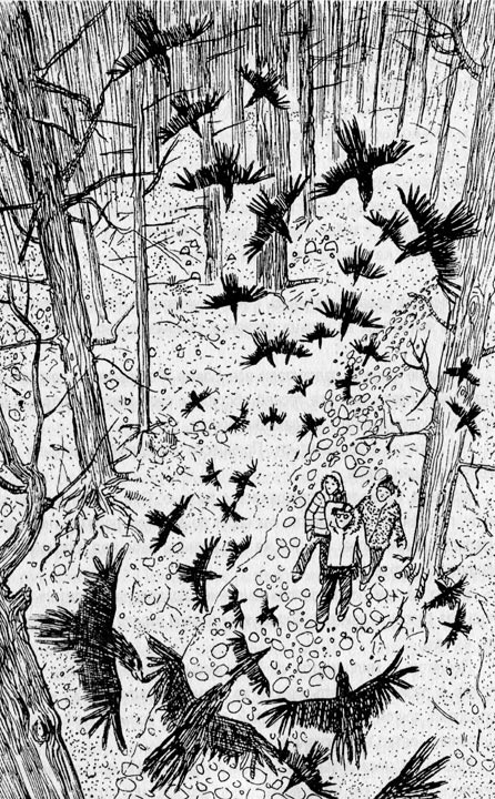 Иллюстрация к книге — Лаура и тайна Авентерры [i_008.jpg]