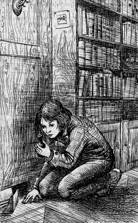 Иллюстрация к книге — Лаура и тайна Авентерры [i_010.jpg]