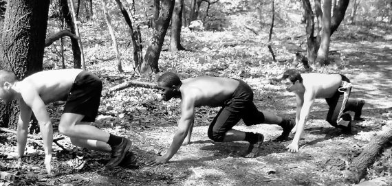 Иллюстрация к книге — До смерти здоров. Результат исследования основных идей о здоровом образе жизни [i_002.jpg]