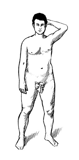 Иллюстрация к книге — Психология типов тела. Развитие новых возможностей. Практический подход [i_021.jpg]